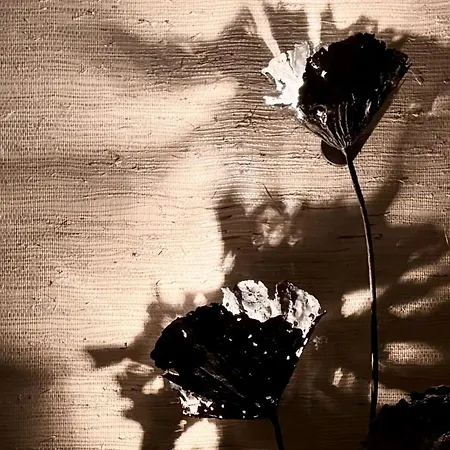 Luxury 2 Bedrooms Ocean View Iguazu